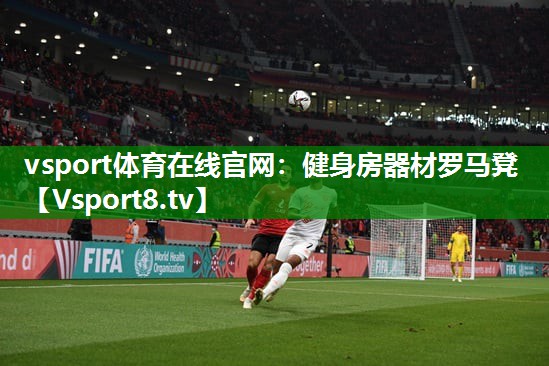 vsport体育在线官网：健身房器材罗马凳