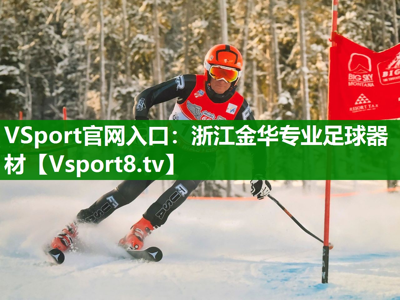 VSport官网入口：浙江金华专业足球器材