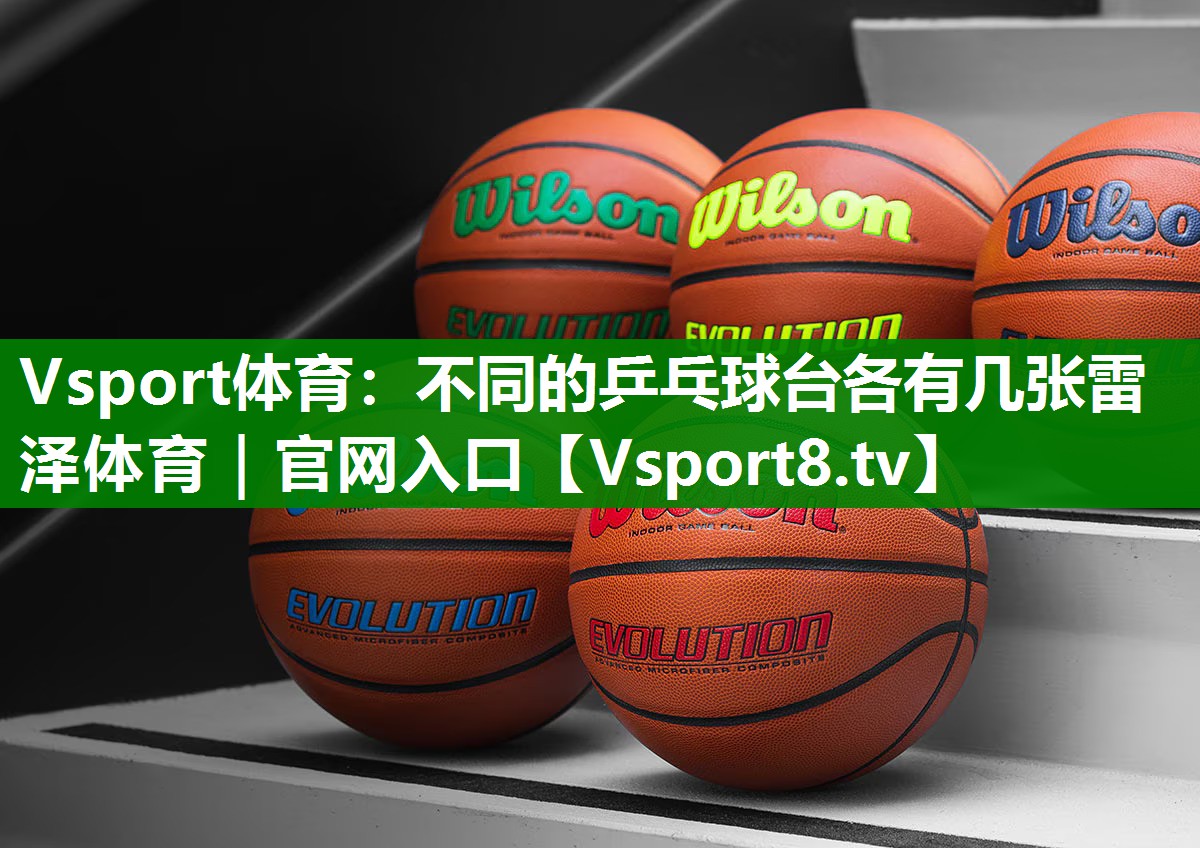 Vsport体育：不同的乒乓球台各有几张雷泽体育｜官网入口