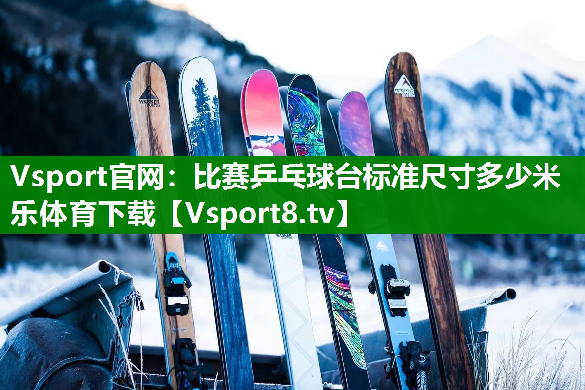 Vsport官网：比赛乒乓球台标准尺寸多少米乐体育下载