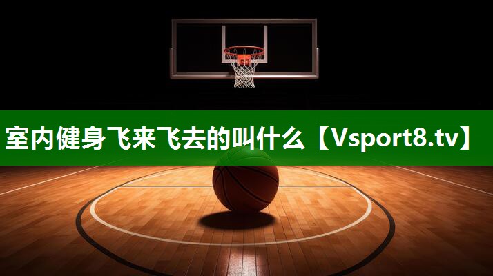 室内健身飞来飞去的叫什么