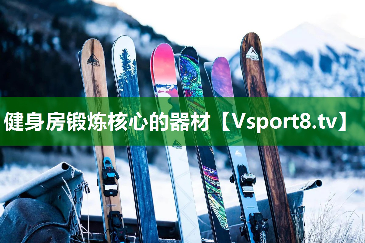健身房锻炼核心的器材