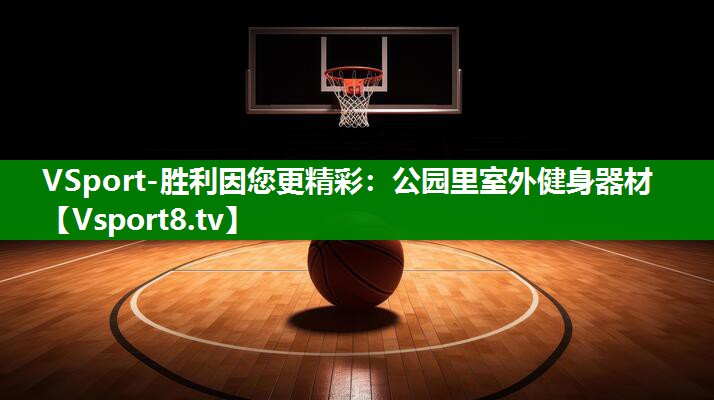 VSport-胜利因您更精彩：公园里室外健身器材
