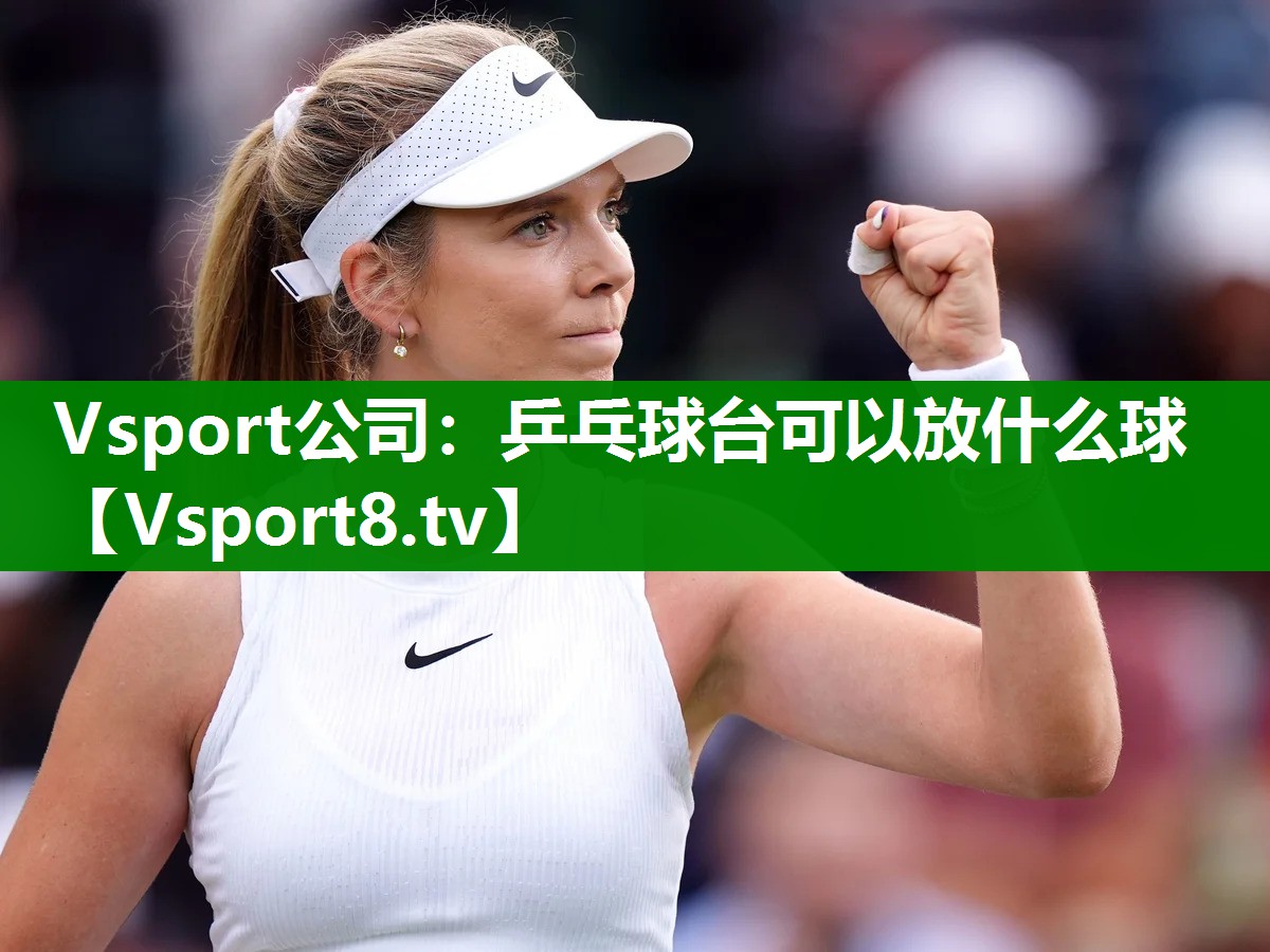 Vsport公司：乒乓球台可以放什么球