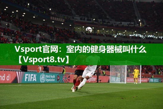 Vsport官网：室内的健身器械叫什么