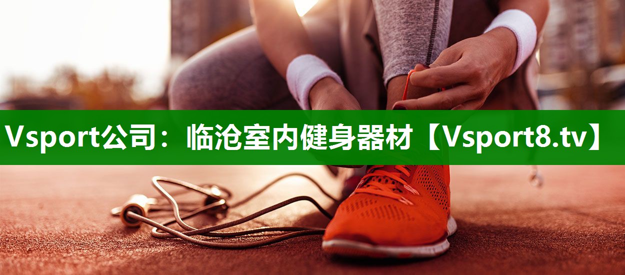 Vsport公司：临沧室内健身器材