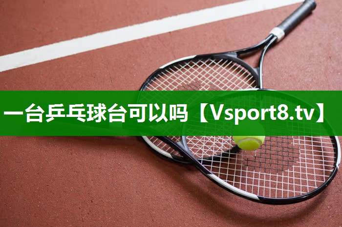 一台乒乓球台可以吗