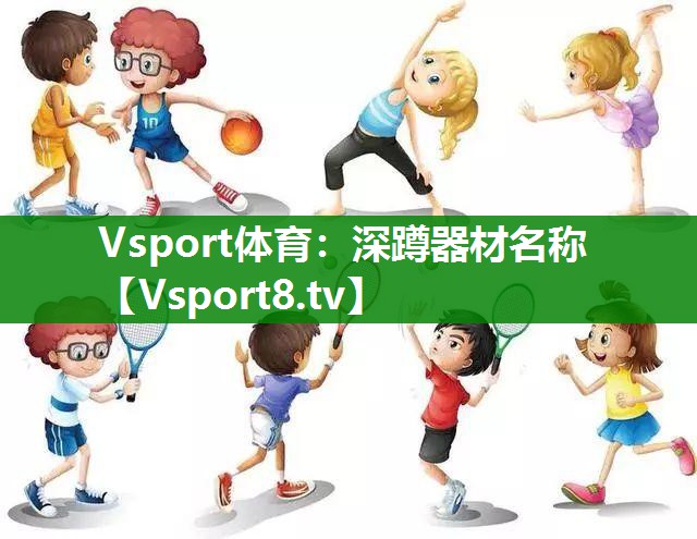 Vsport体育：深蹲器材名称
