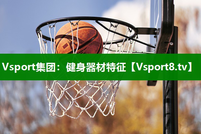 Vsport集团：健身器材特征