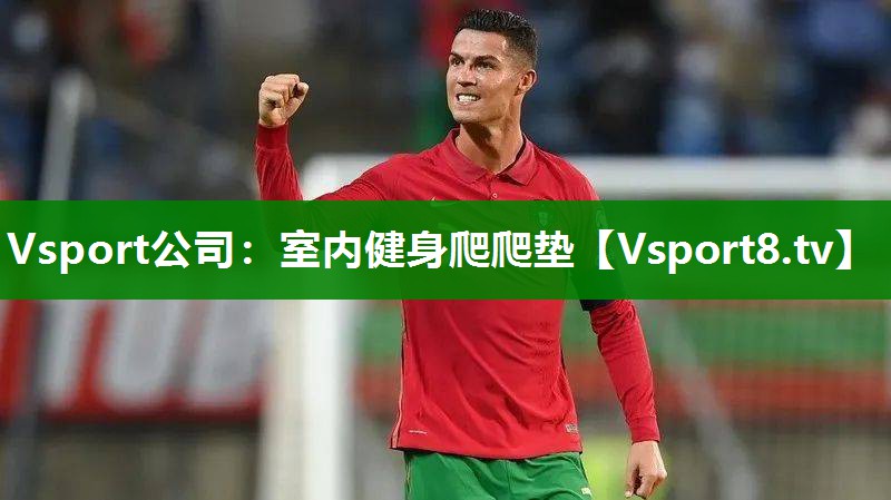 Vsport公司：室内健身爬爬垫
