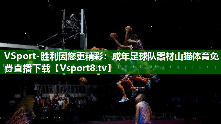 VSport-胜利因您更精彩：成年足球队器材山猫体育免费直播下载