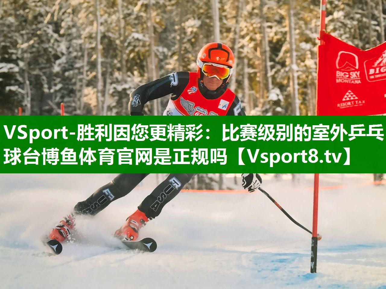 VSport-胜利因您更精彩：比赛级别的室外乒乓球台博鱼体育官网是正规吗