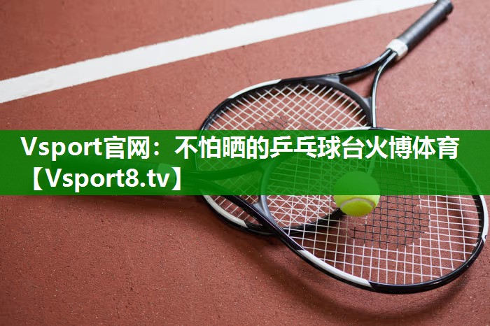 Vsport官网：不怕晒的乒乓球台火博体育