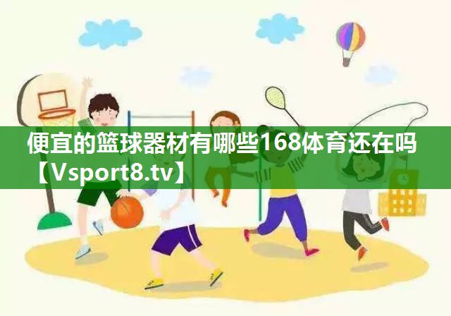 便宜的篮球器材有哪些168体育还在吗