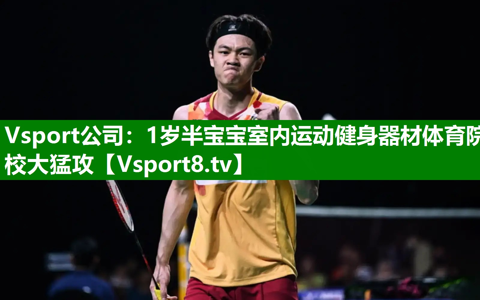 Vsport公司：1岁半宝宝室内运动健身器材体育院校大猛攻