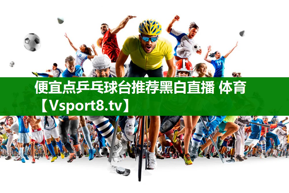 便宜点乒乓球台推荐黑白直播 体育