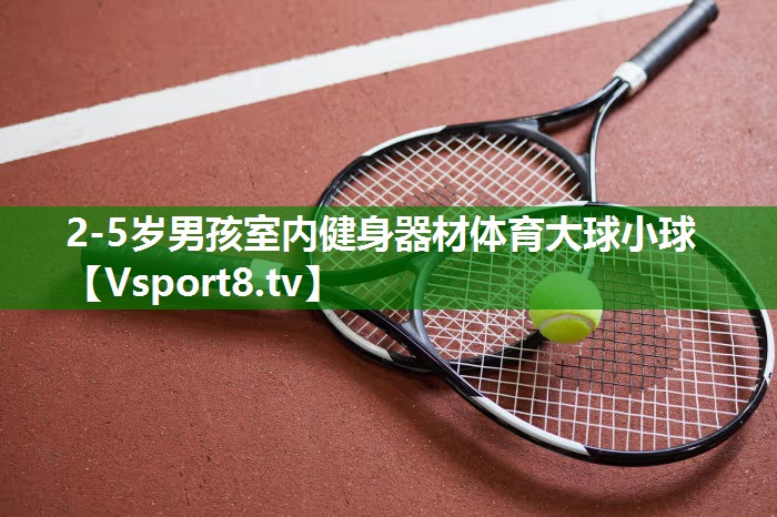 2-5岁男孩室内健身器材体育大球小球