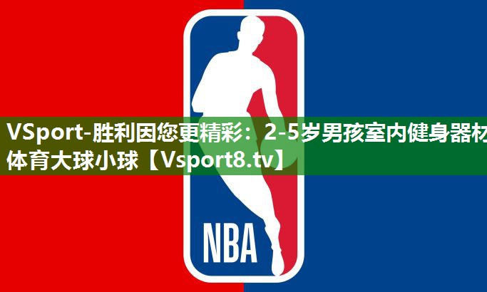 VSport-胜利因您更精彩：2-5岁男孩室内健身器材体育大球小球