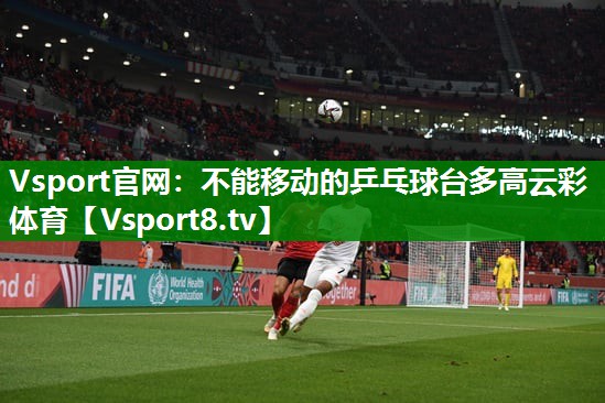 Vsport官网：不能移动的乒乓球台多高云彩体育