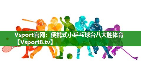 Vsport官网：便携式小乒乓球台八大胜体育