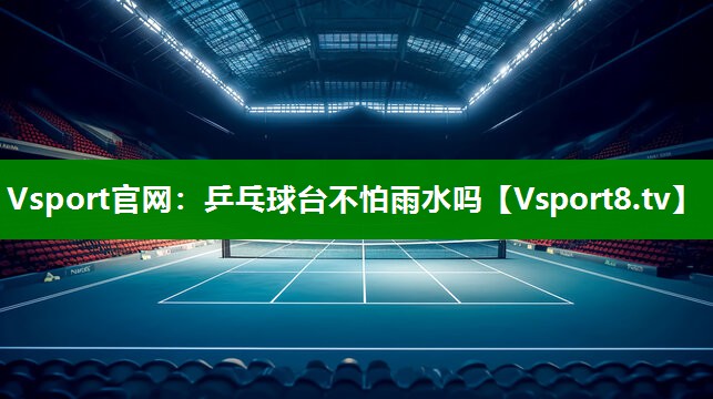 Vsport官网：乒乓球台不怕雨水吗