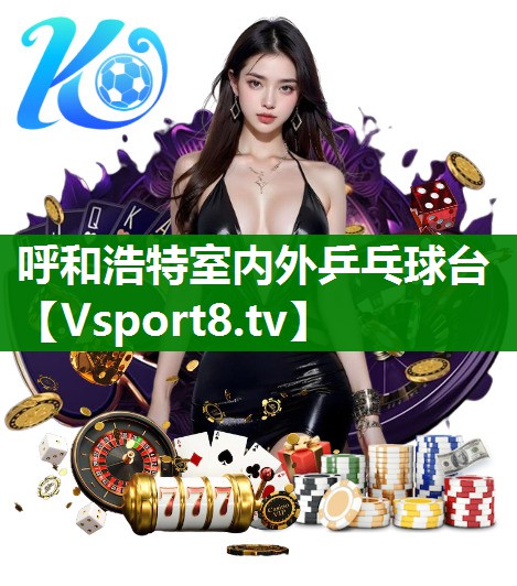 呼和浩特室内外乒乓球台