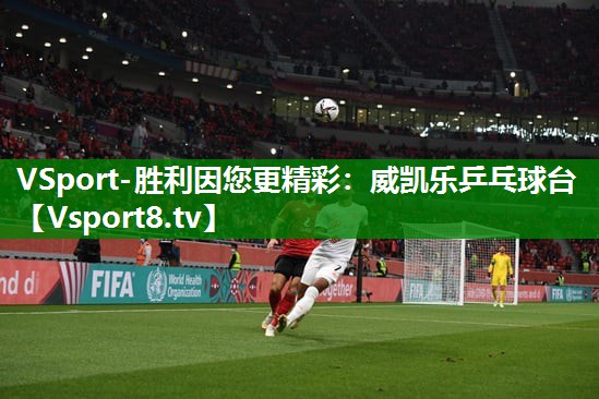 <strong>VSport-胜利因您更精彩：威凯乐乒乓球台</strong>