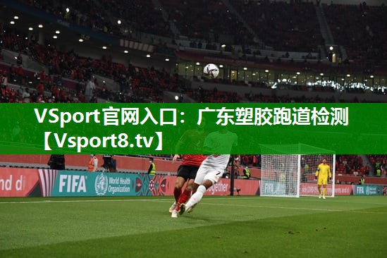 <strong>VSport官网入口：广东塑胶跑道检测</strong>