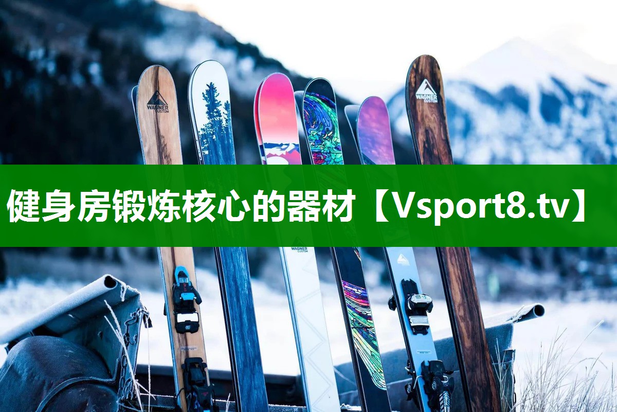 健身房锻炼核心的器材