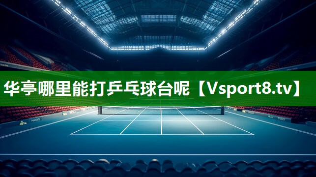 华亭哪里能打乒乓球台呢