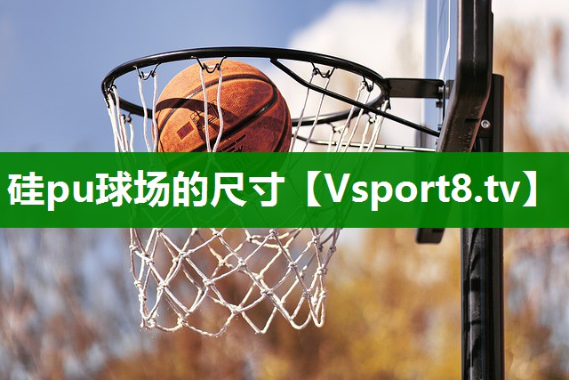 硅pu球场的尺寸