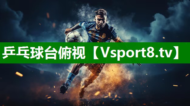 乒乓球台俯视