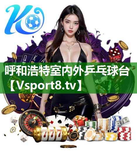 呼和浩特室内外乒乓球台