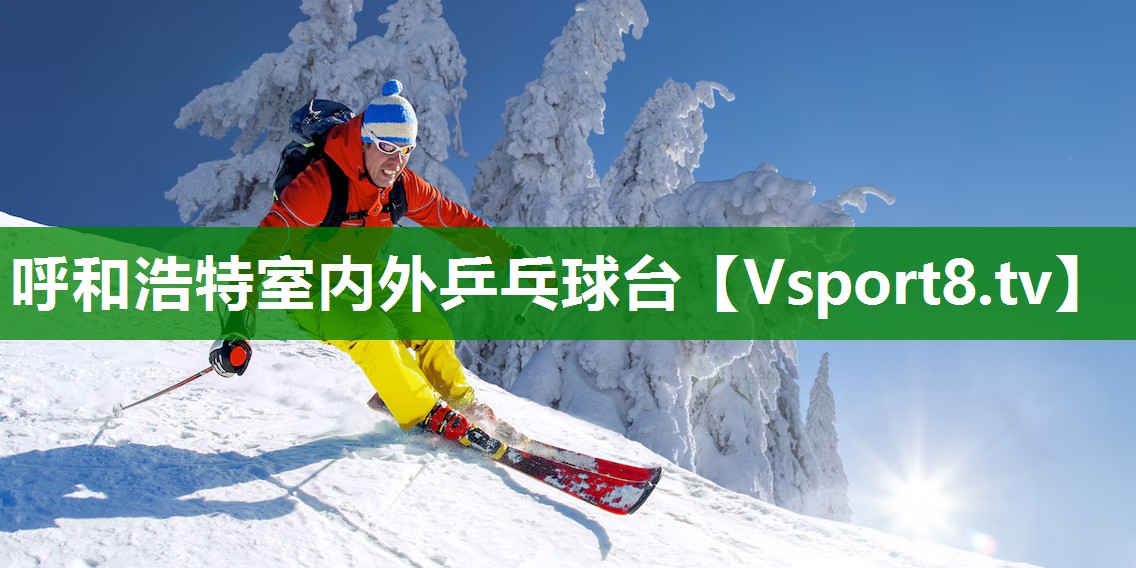 呼和浩特室内外乒乓球台